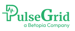 Betopia PulseGrid Ltd